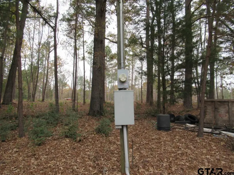 303 CR 2105, Palestine, TX 75803 - Image #3