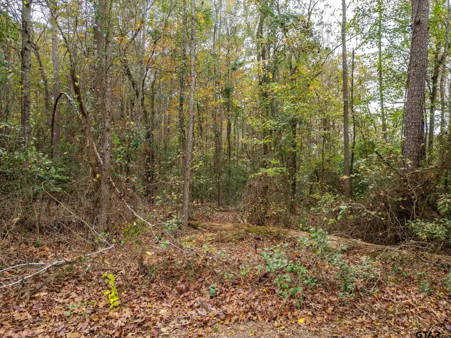 TBD 155 S, Big Sandy, TX 75755 - Image #3