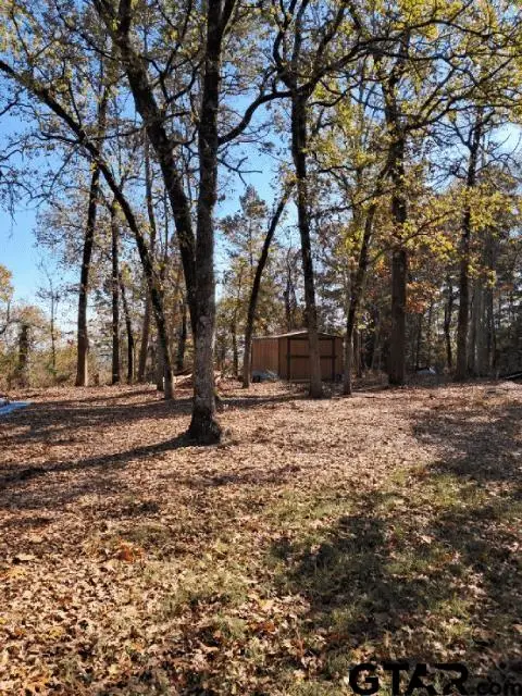 3781 Farm to Market 2869, Hawkins, TX 75765 - Image #2