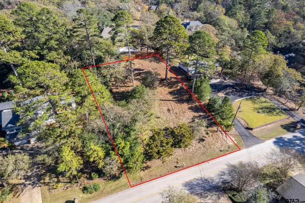 425 Hideaway Central Ln, Hideaway, TX 75771