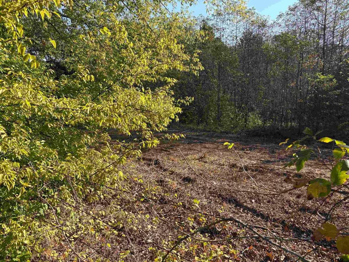 TBD FM 607, Brownsboro, TX 75756 - Image #1