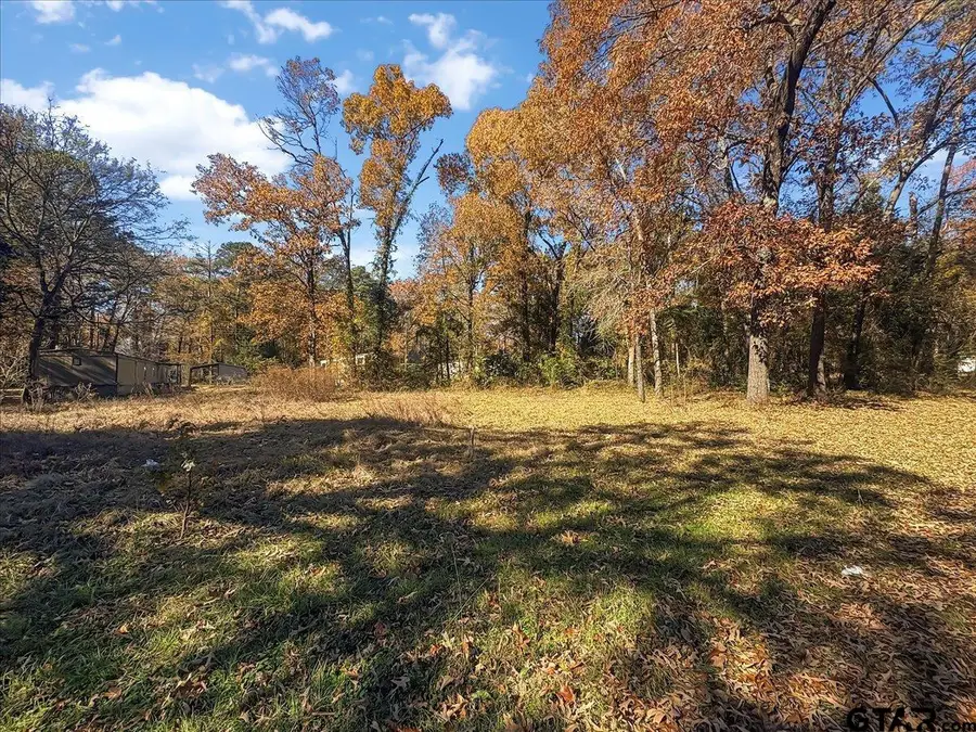 704 Caroline Bend, Bullard, TX 75757 - Image #2