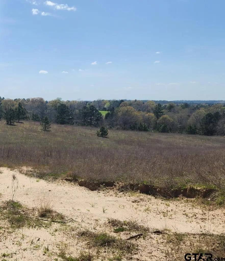 0 An County Road 441, Palestine, TX 75803 - Image #2