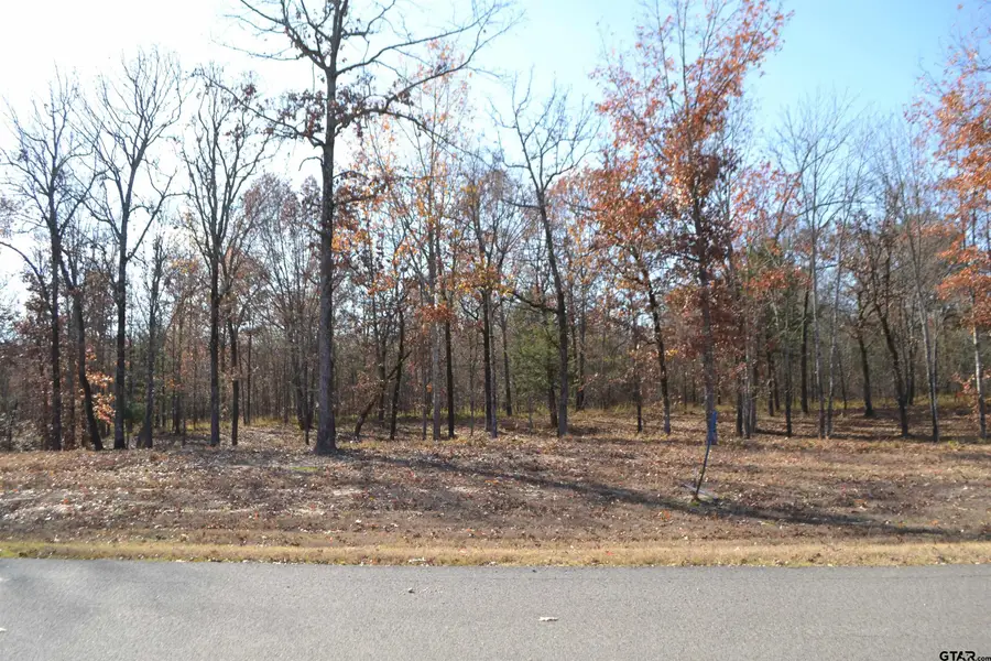 Lot 34 Angler Shores Dr., Yantis, TX 75497 - Image #3