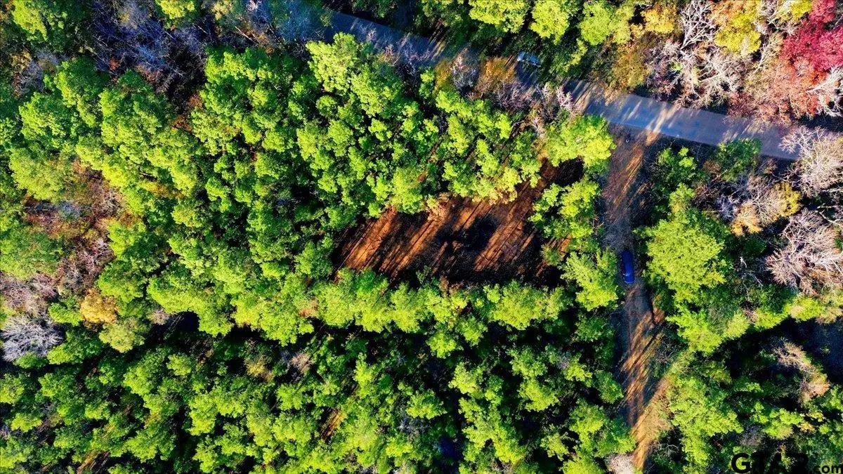 222 S Main Street, Arp, TX 75750 - Image #1