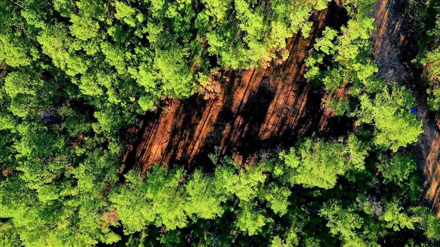 222 S Main Street, Arp, TX 75750 - Image #2