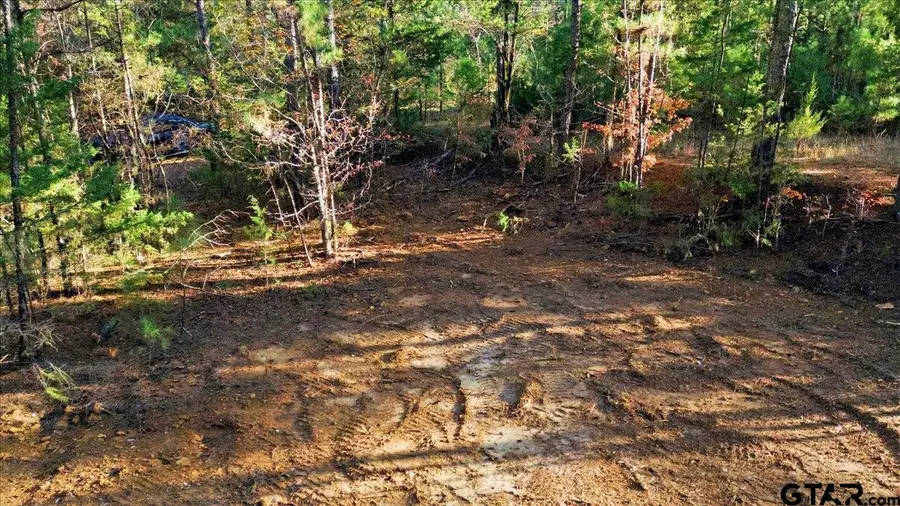 222 S Main Street, Arp, TX 75750 - Image #3