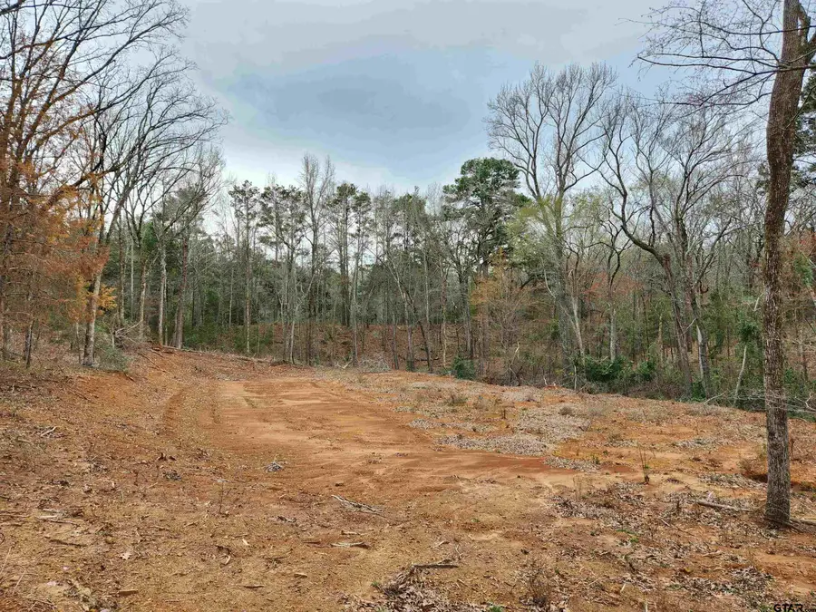 19387 & 19365 CR 4125, Lindale, TX 75771 - #2