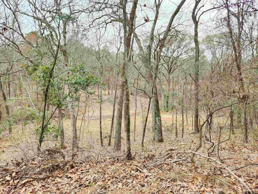 19387 & 19365 CR 4125, Lindale, TX 75771 - #3