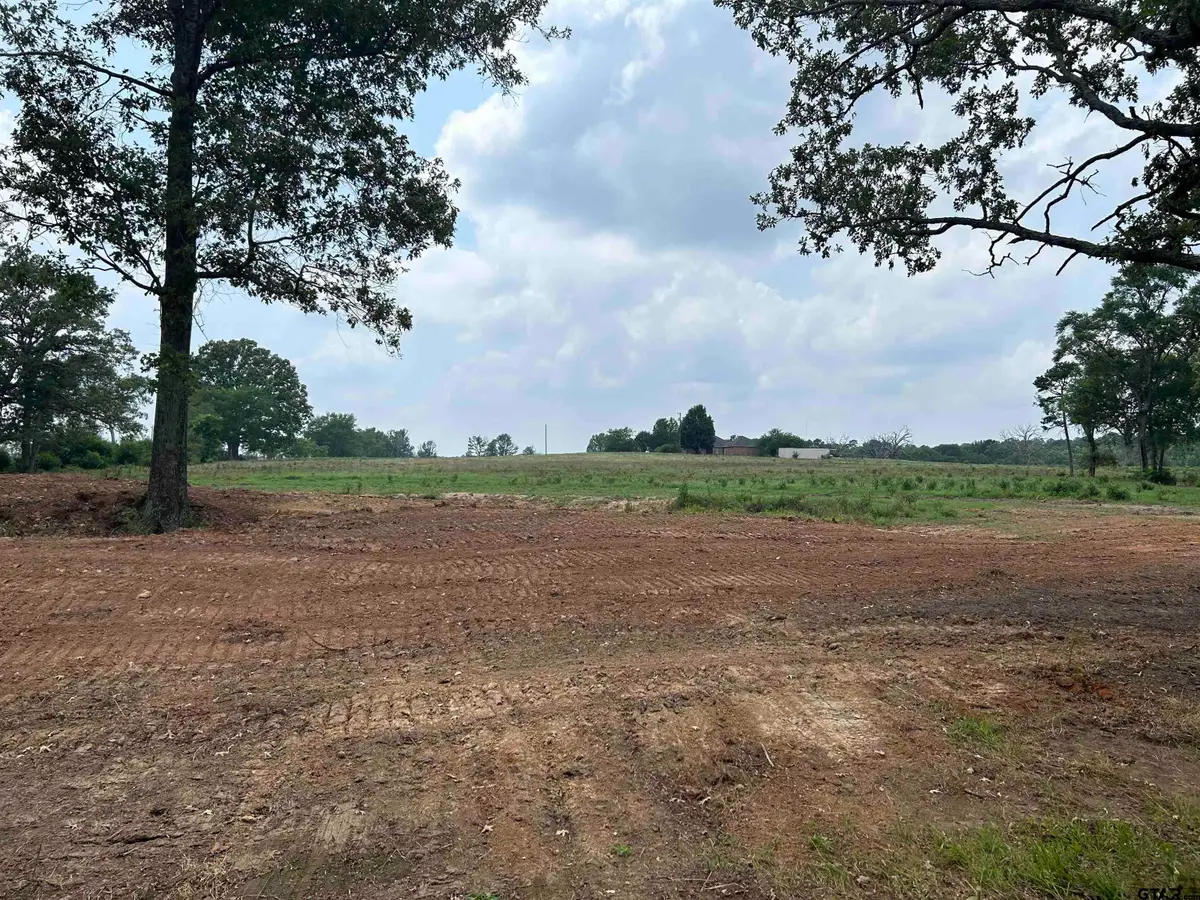 Lot 5 tbd COUNTY ROAD 2169, Troup, TX 75789 - Image #1