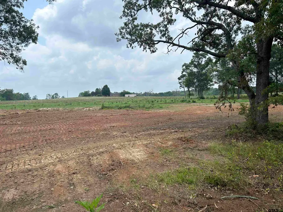 Lot 5 tbd COUNTY ROAD 2169, Troup, TX 75789 - Image #2
