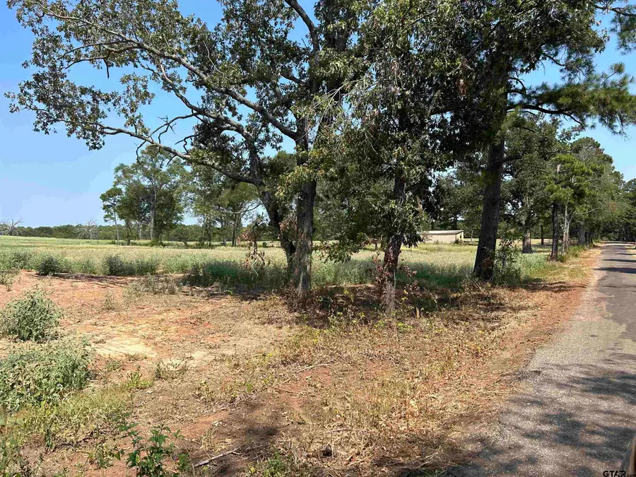 Lot 5 tbd COUNTY ROAD 2169, Troup, TX 75789 - Image #3