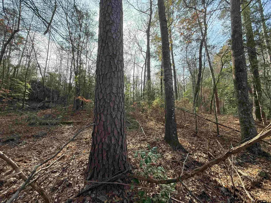 TBD CR 2733, Marietta, TX 75566 - #2