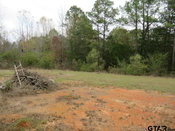 7079 241 S, Alto, TX 75925