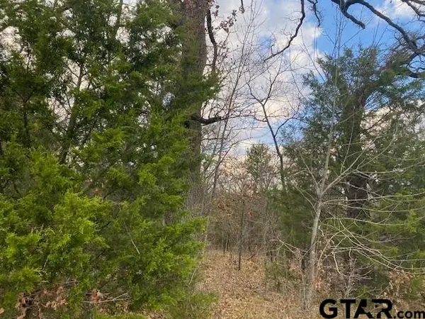 TBD CR 1200, Malakoff, TX 75148