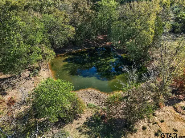 TBD 38.79-acres, Alto, TX 75925