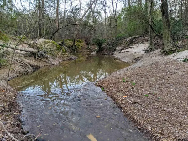 TBB FM 3019, Winnsboro, TX 75494