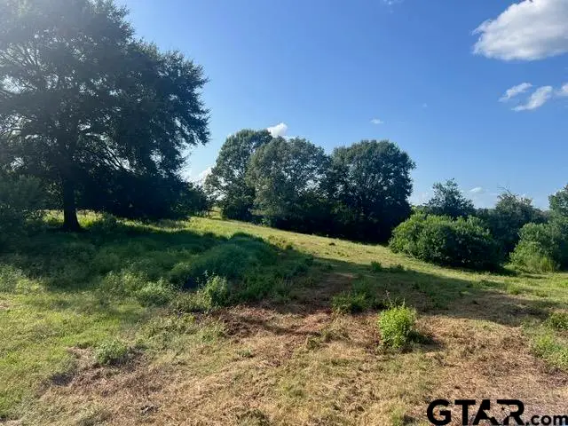 589 US Hwy 84 E, Tenaha, TX 75974 - Image #3