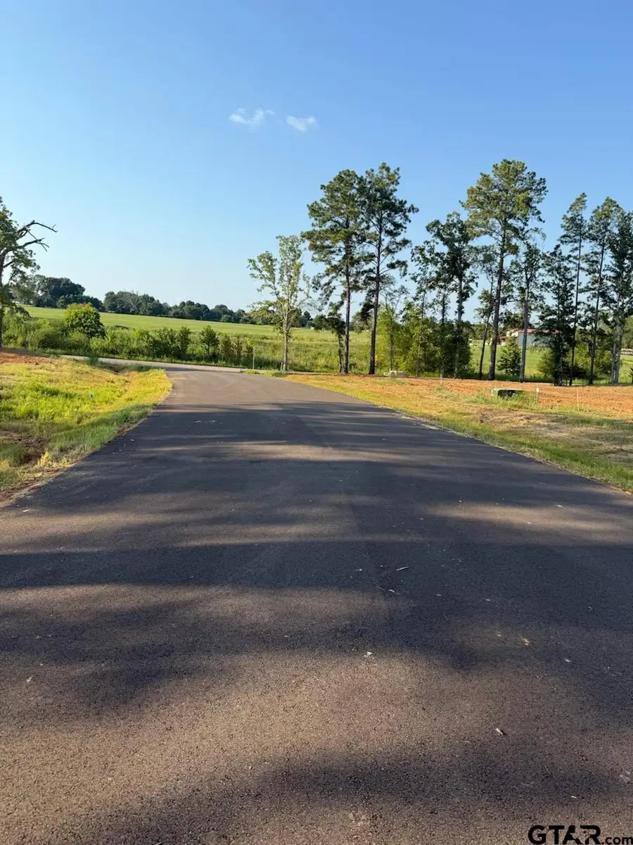 20020 Dews Ct, Troup, TX 75789 - Image #3