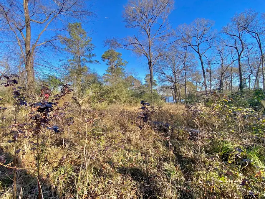 Lot #9 Tall Timber Road, Crockett, TX 75835 - #3