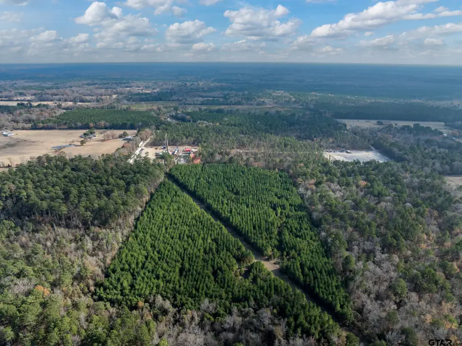 TBD Tom Woodley Rd, Marshall, TX 75672 - #2