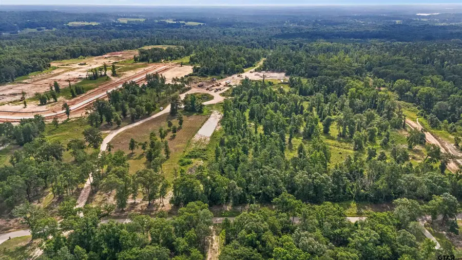 Lot 9 CR 2123, Whitehouse, TX 75791 - Image #3