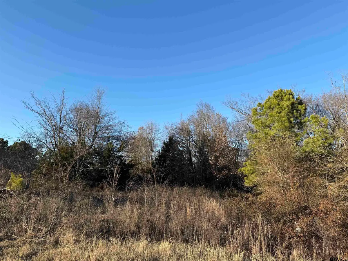 13358 Nance Ln, Lindale, TX 75771 - Image #1