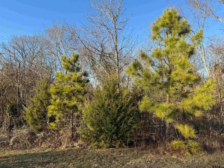 13358 Nance Ln, Lindale, TX 75771 - Image #3