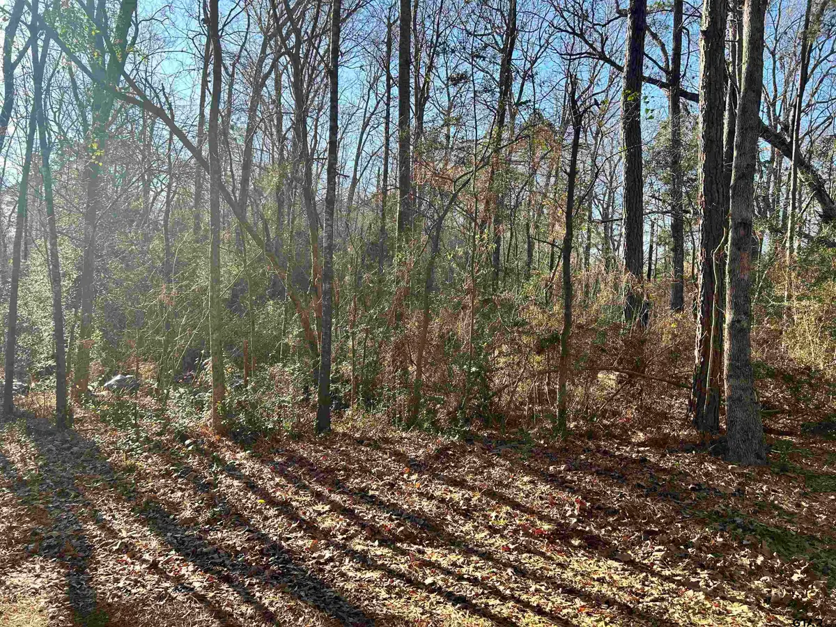 TBD Co Rd 3194, Mount Enterprise, TX 75681 - Image #1