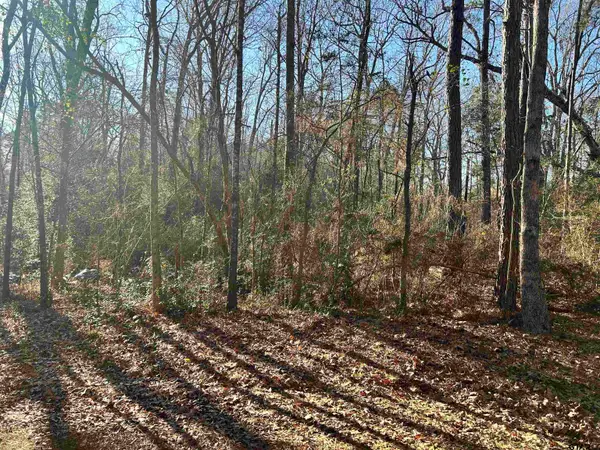 TBD Co Rd 3194, Mt Enterprise, TX 75681