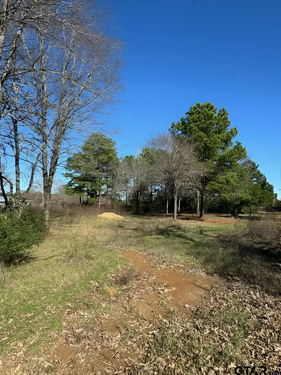 Lot 7 Berrycreek Circle, Frankston, TX 75763 - #2