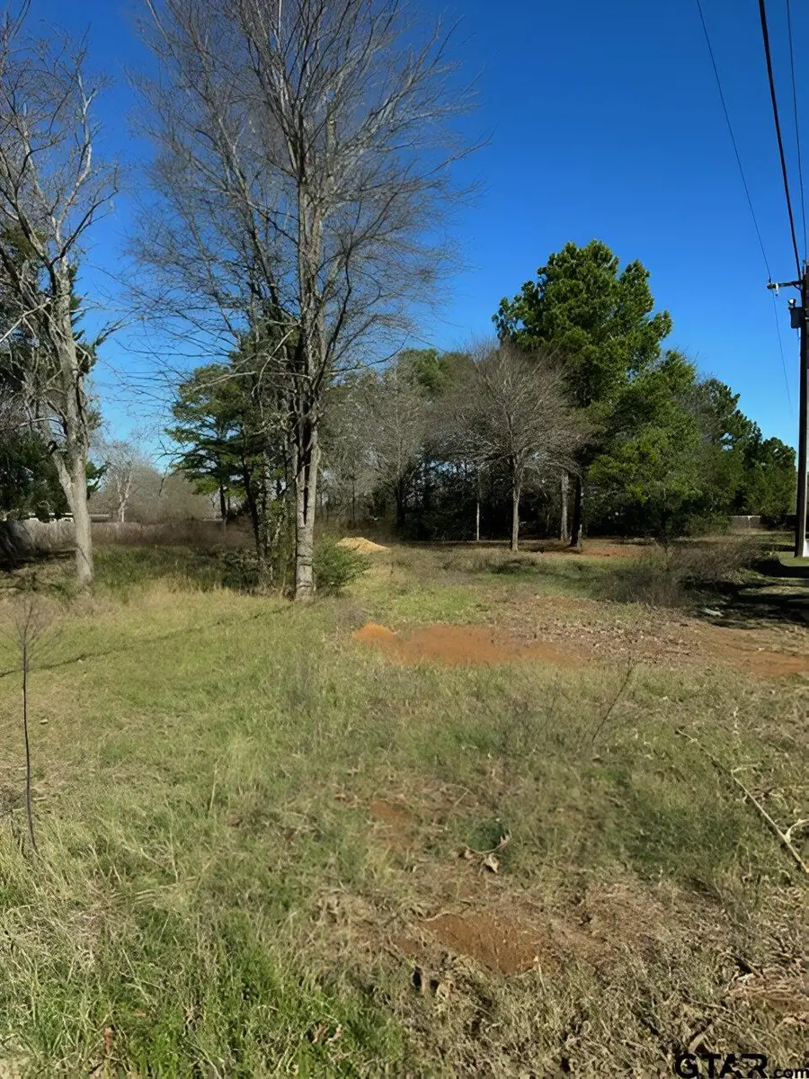 Lot 7 Berrycreek Circle, Frankston, TX 75763 - #3