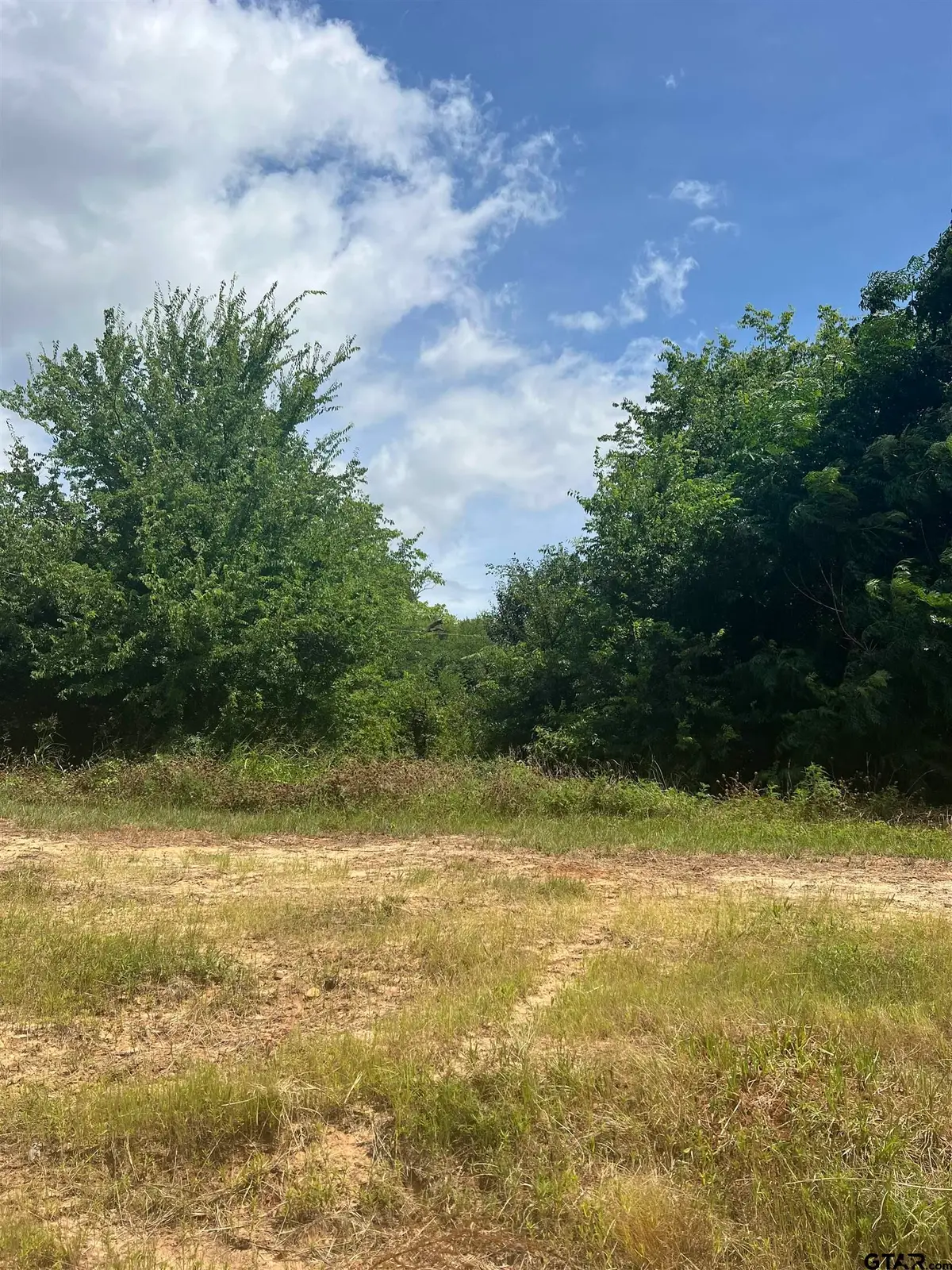 000 SH 64, Ben Wheeler, TX 75754 - Image #1