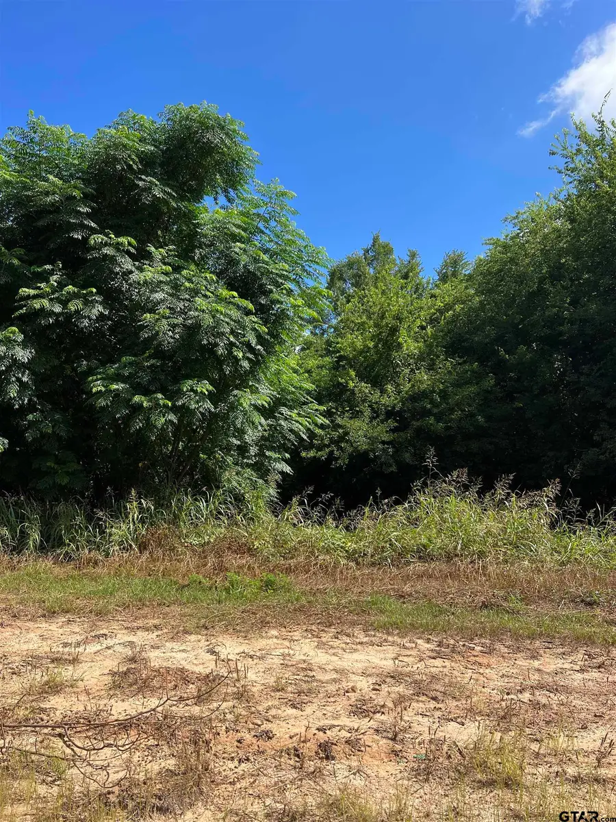 000 SH 64, Ben Wheeler, TX 75754 - Image #2