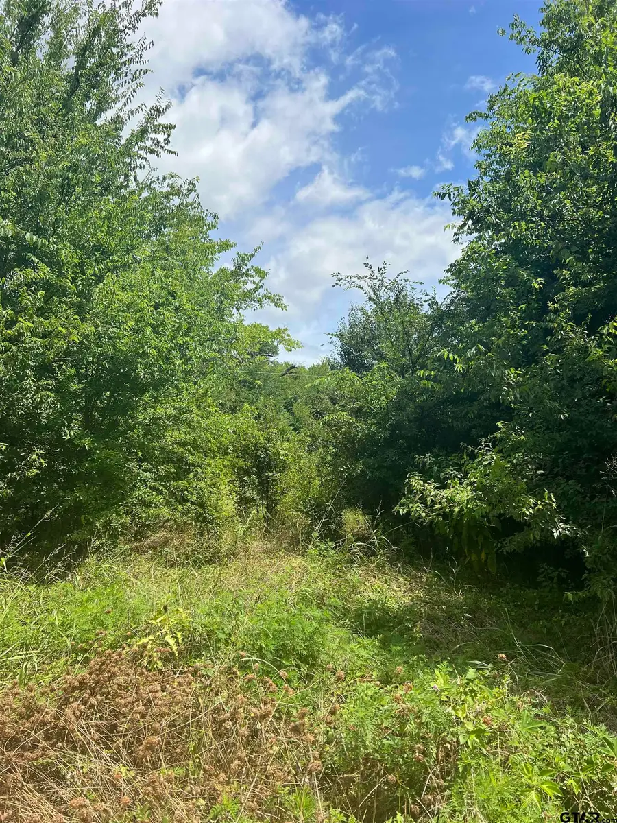 000 SH 64, Ben Wheeler, TX 75754 - Image #3