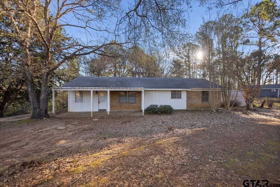 10715 S CR 461, Laneville, TX 75667 - Image #2