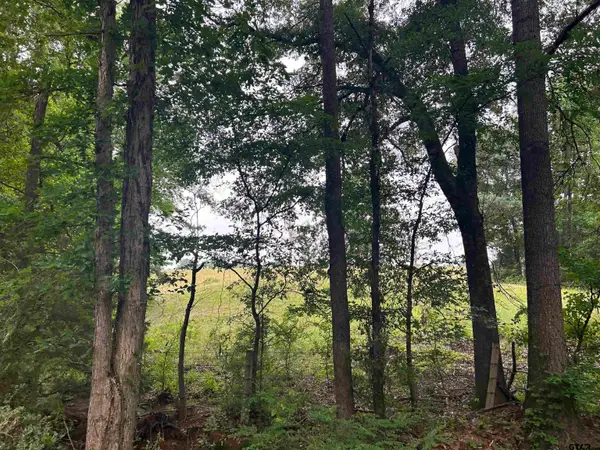 LOT 9  5+ ACRES FM 15, Troup, TX 75789
