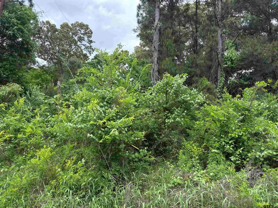 404 Post Oak, Bullard, TX 75757 - Image #3