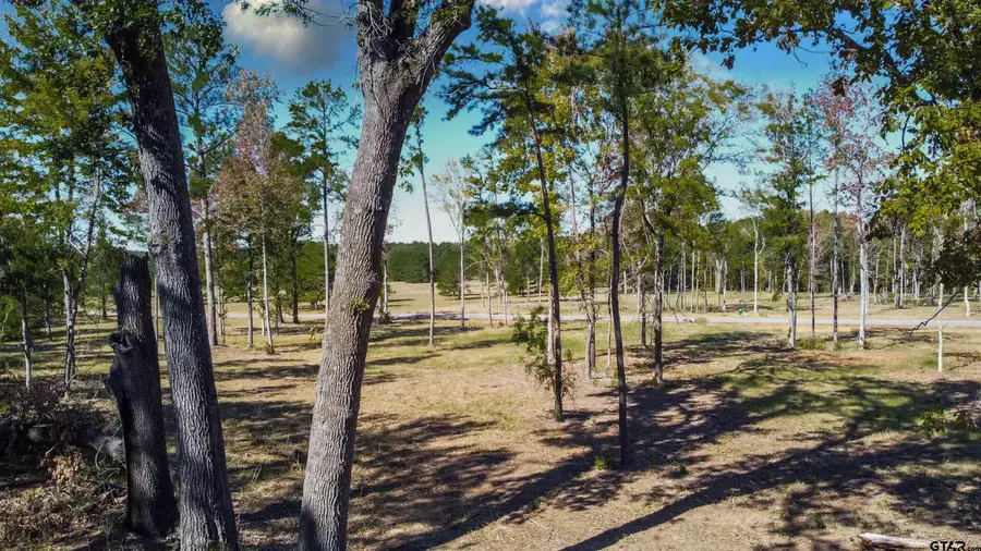 15483 Aniston Ln - (LOT 1), Flint, TX 75762 - #2