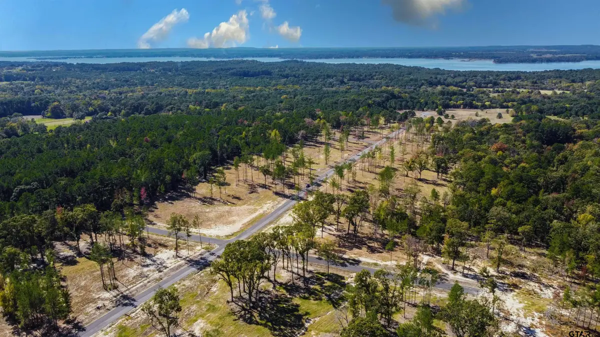 15703 Aniston Ln - (LOT 5), Flint, TX 75762 - #1