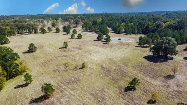 15868 Aniston Ln - (lot 21), Flint,  75762