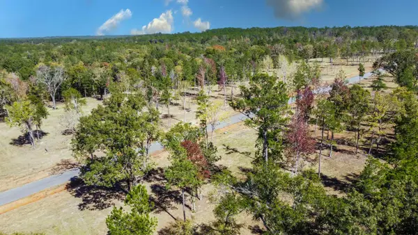 15702 Aniston Ln - (lot 24), Flint,  75762