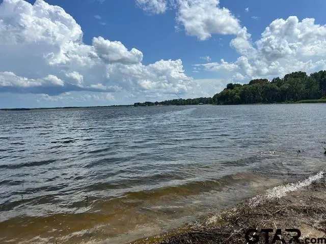 Lot 34 Oak River, Frankston, TX 75763 - Image #2