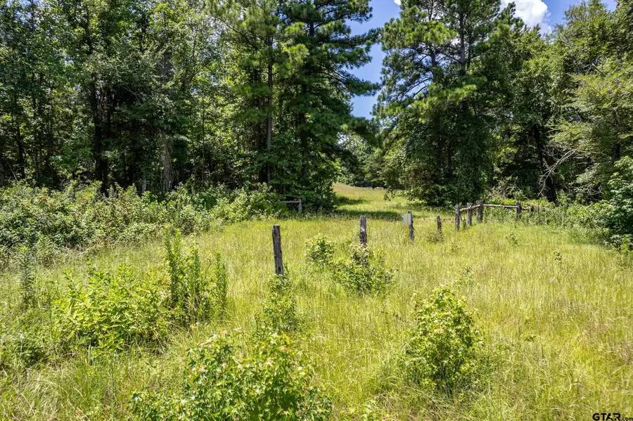 Lot 71 Star Mountain, Winona, TX 75792 - Image #2