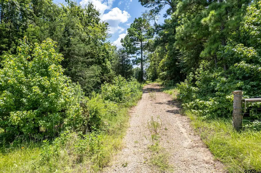 Lot 71 Star Mountain, Winona, TX 75792 - Image #3