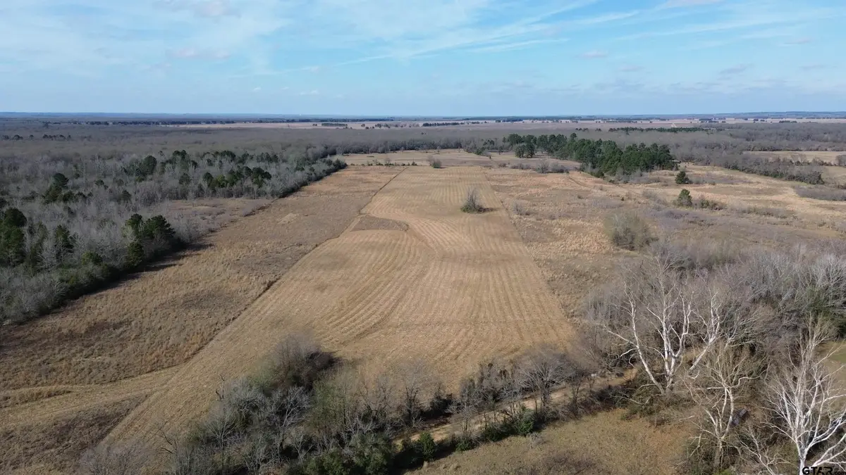 TBD CR 2255, Grapeland, TX 75844 - #1
