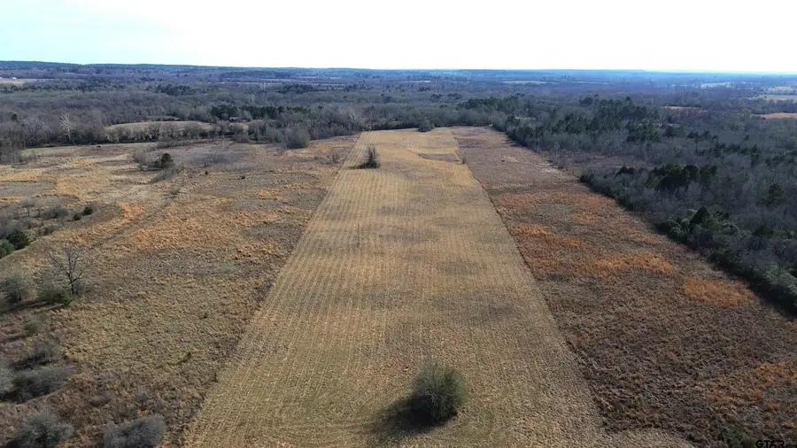TBD CR 2255, Grapeland, TX 75844 - #2