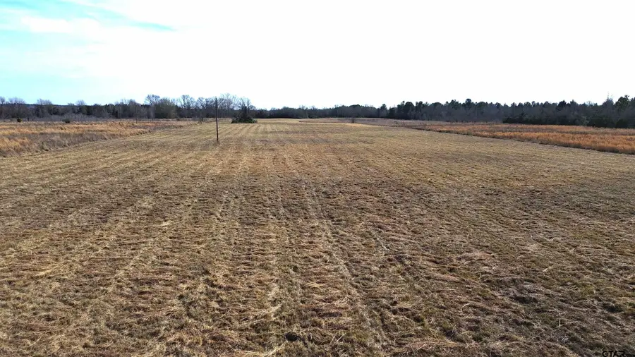TBD CR 2255, Grapeland, TX 75844 - #3