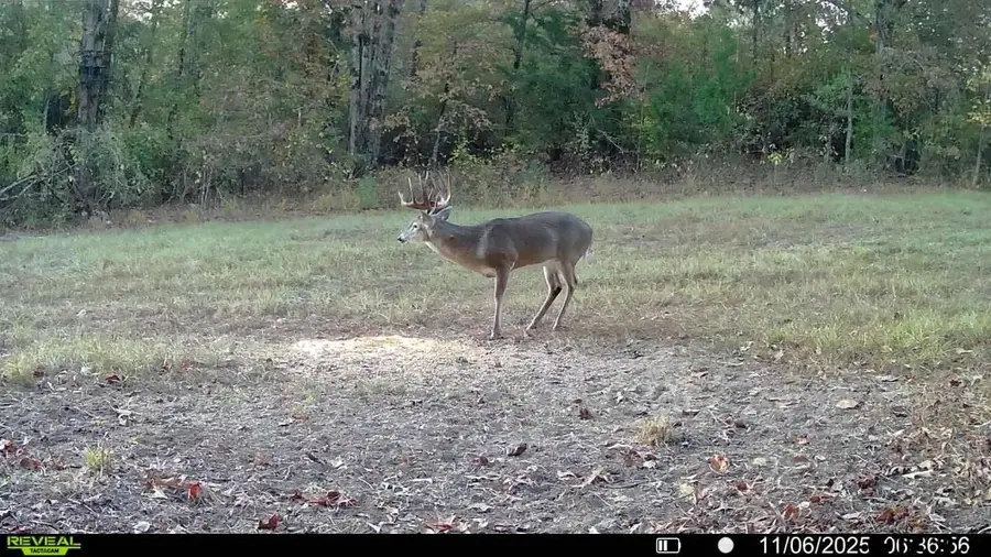 TBD CR 2737, Naples, TX 75568 - Image #3