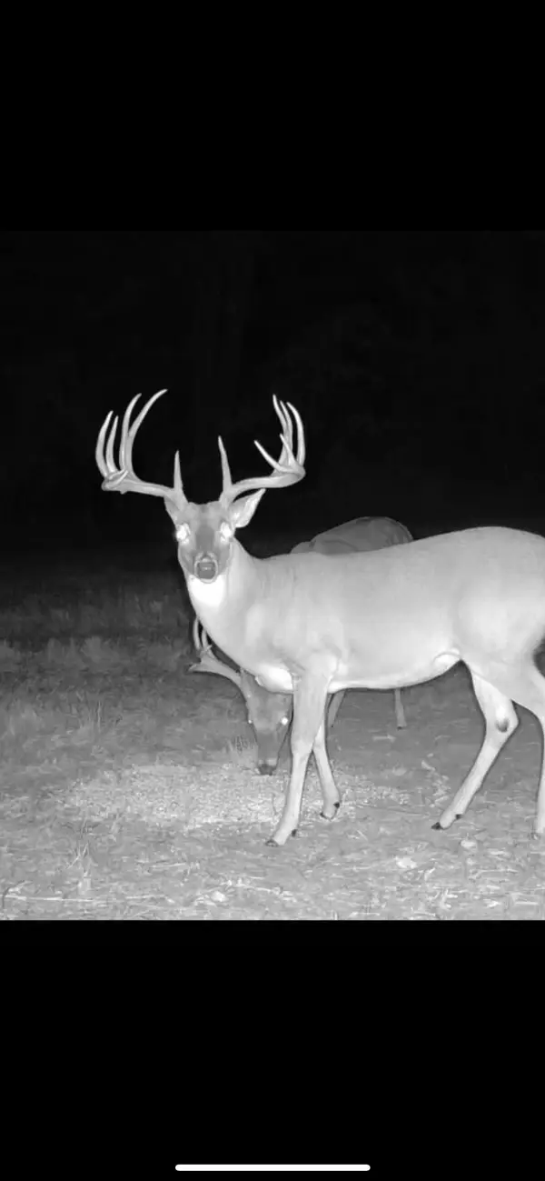 TBD CR 2738, Naples, TX 75568